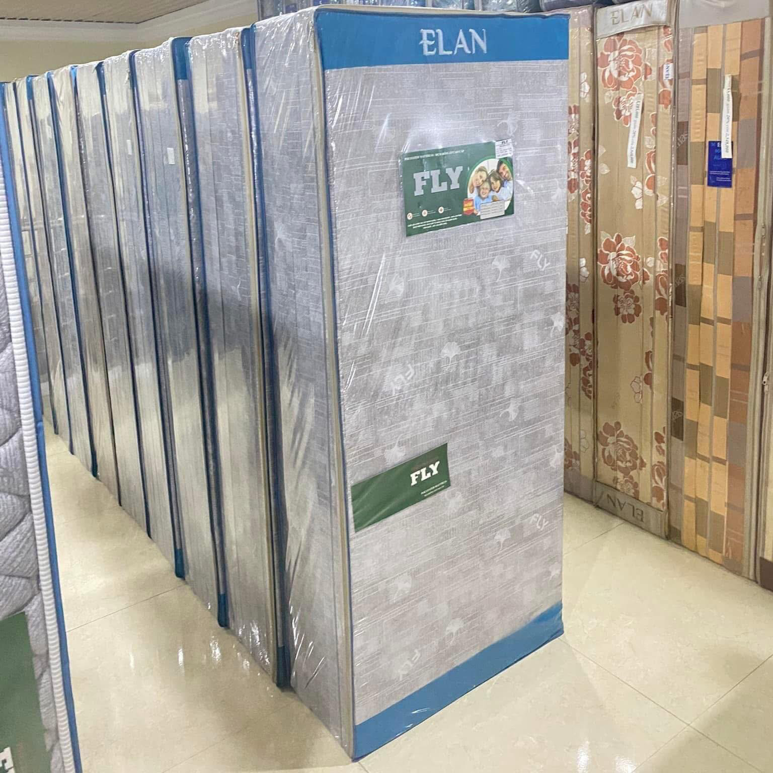 Đệm bông ép Fly Elan 3M