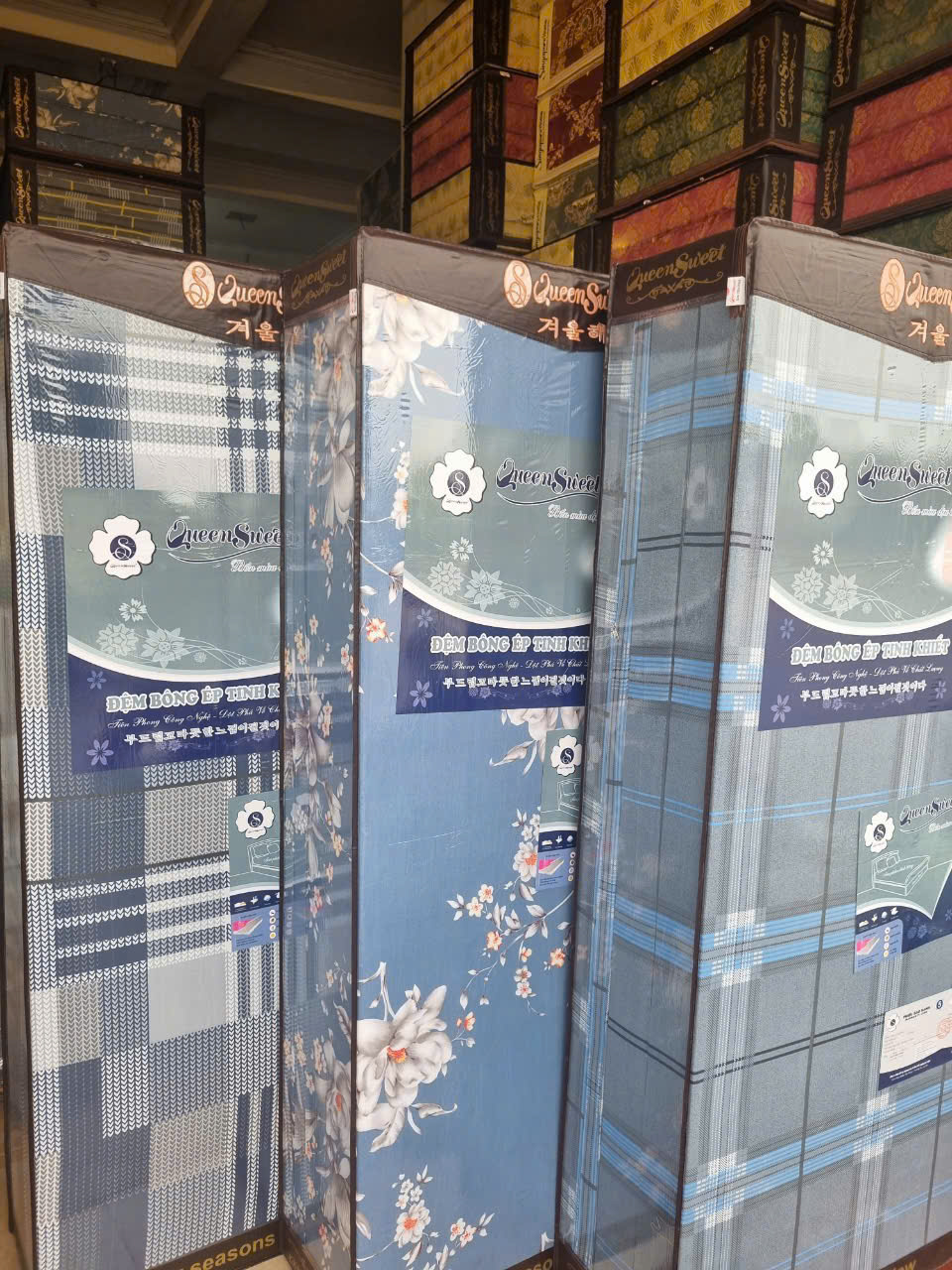 Đệm bông ép Singapore vỏ Cotton mềm mịn