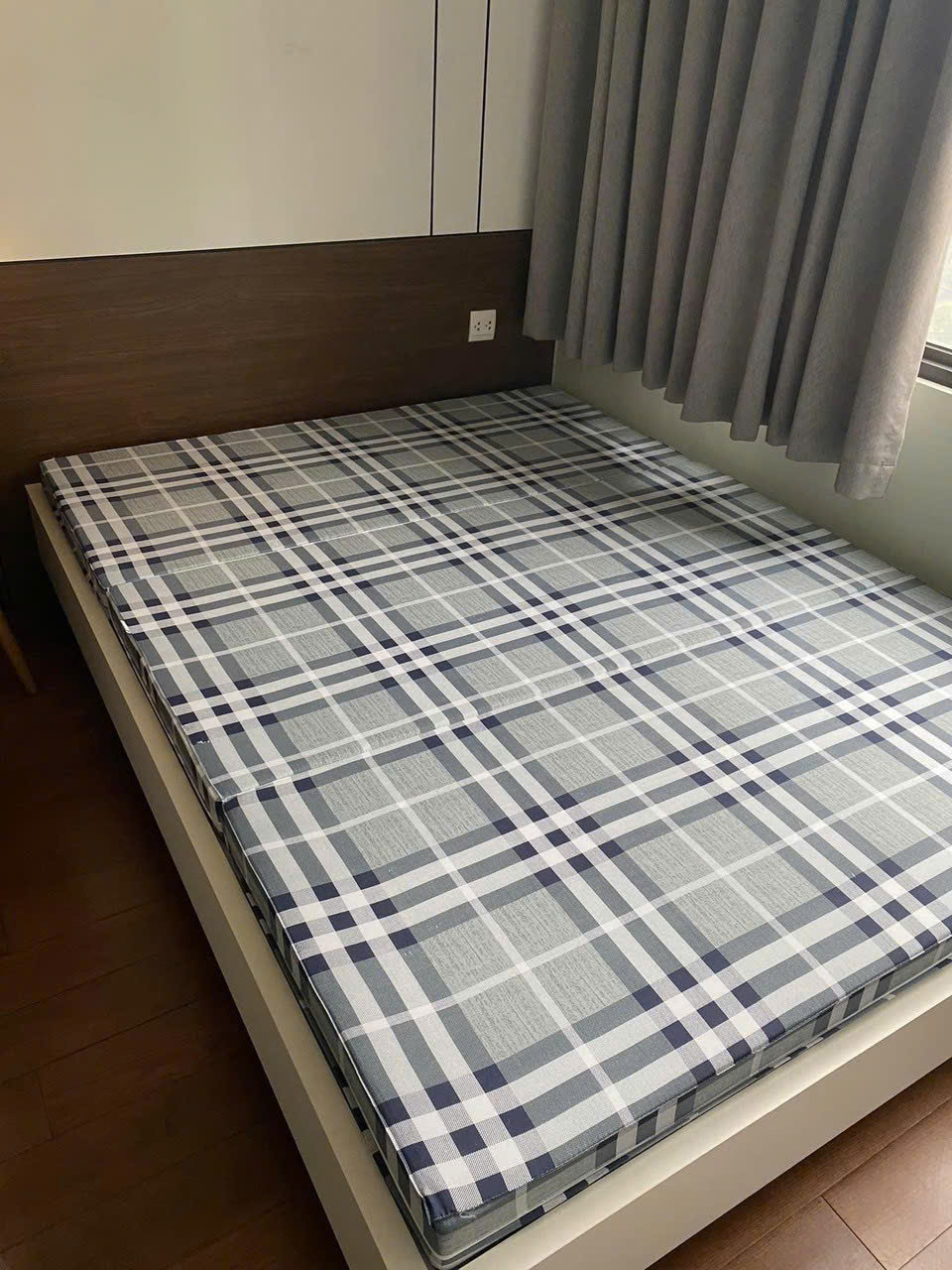 Đệm bông ép Singapore vỏ Cotton mềm mịn